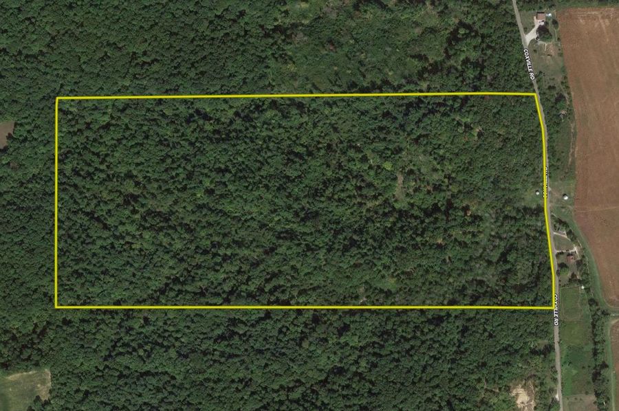 Aerial 1