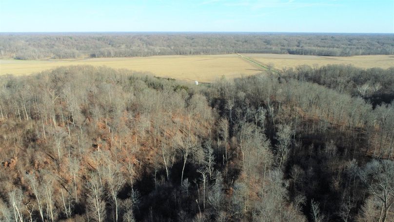 DJI_0004 (12)