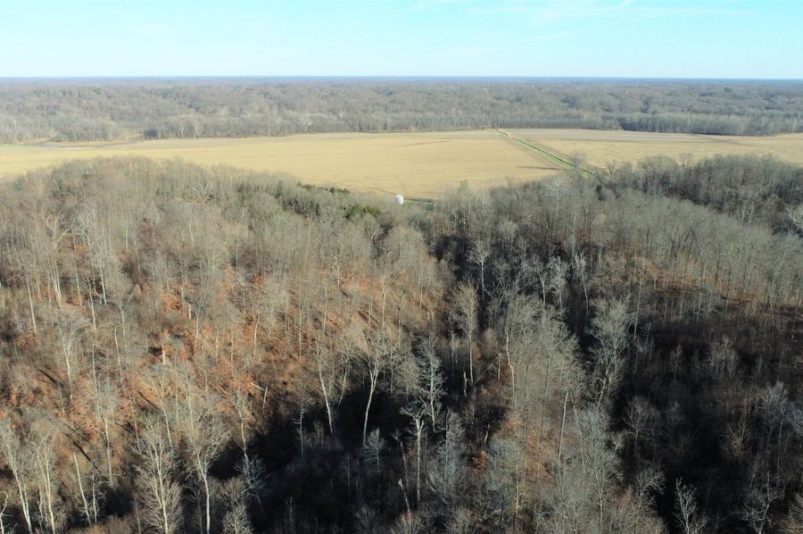 DJI_0004 (12)