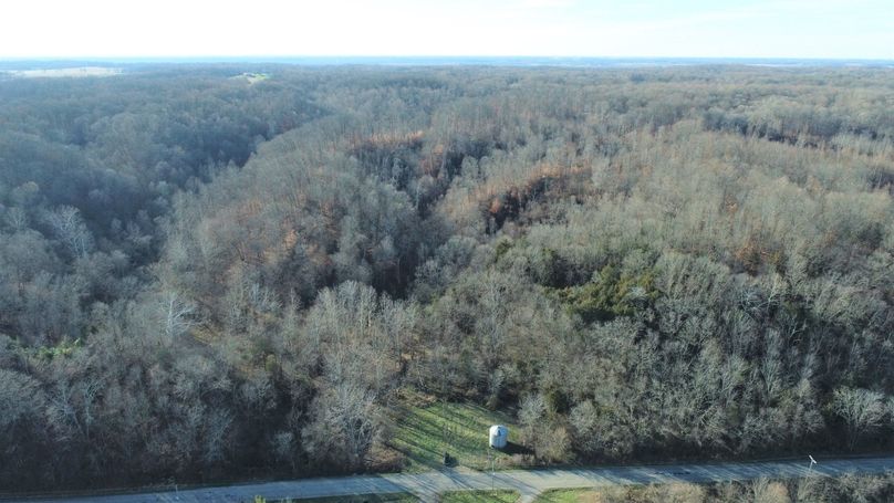 DJI_0010 (8)
