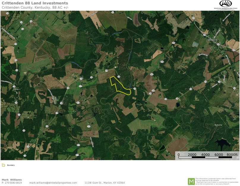 Crittenden 88 airplane