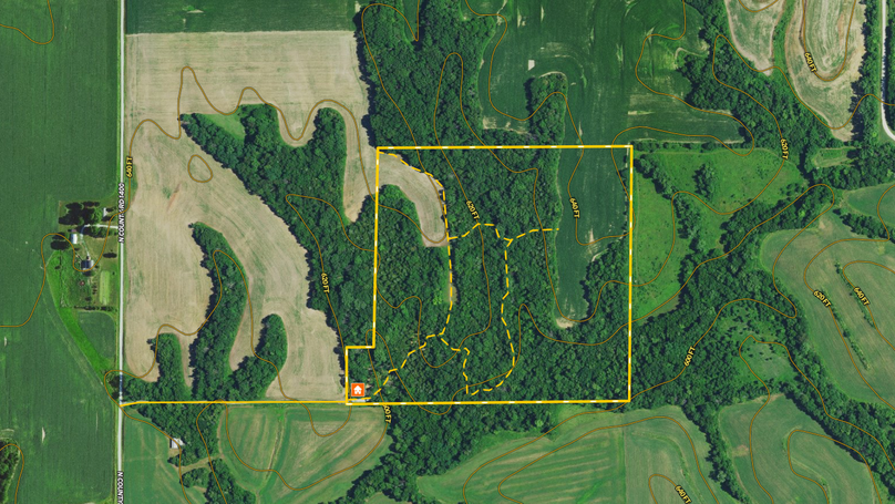 Screen Shot 2021-12-19 at 8.46.29 PM