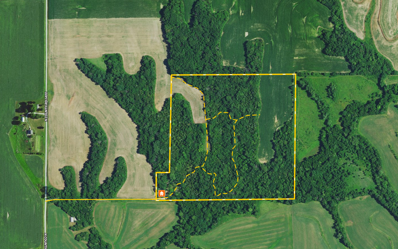 Screen Shot 2021-12-19 at 8.45.28 PM