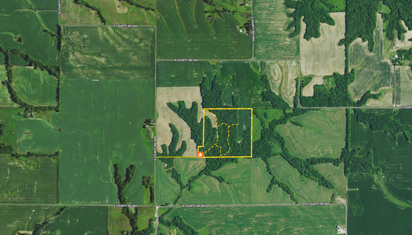 Screen Shot 2021-12-19 at 8.46.46 PM