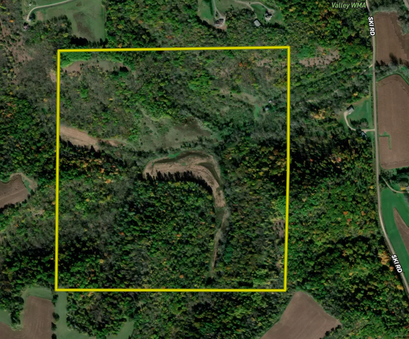 Screen Shot 2021-12-21 at 8.01.59 AM