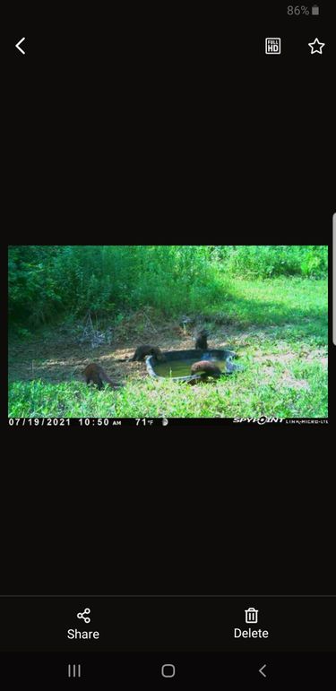 Screenshot_20210719-115520_SPYPOINT