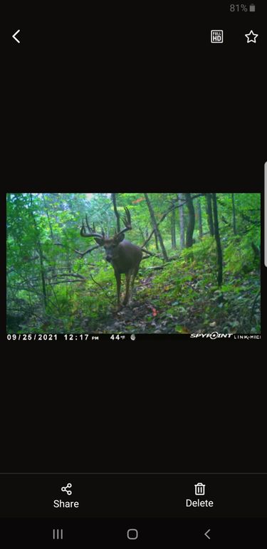 Screenshot_20210925-132126_SPYPOINT