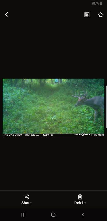 Screenshot_20210825-065423_SPYPOINT