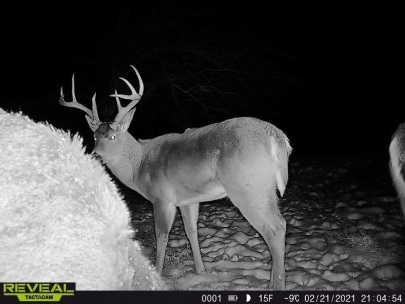 90cc0624-e9aa-4a15-9a42-4f98a2a7eb25