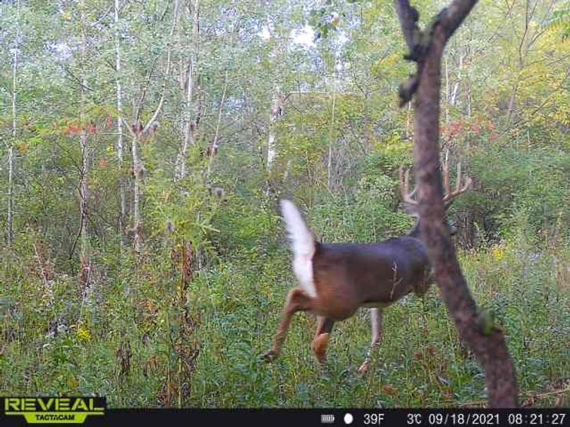 58ef69b6-712e-405b-9446-4157f14bf220