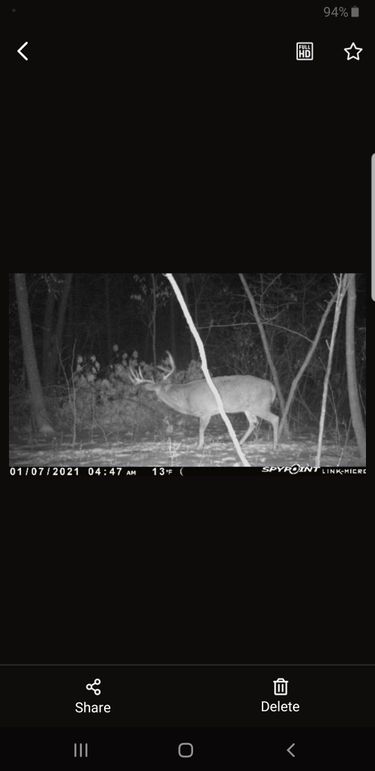 Screenshot_20210108-093306_SPYPOINT