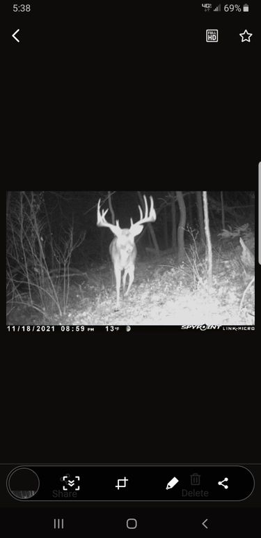 Screenshot_20211119-053850_SPYPOINT