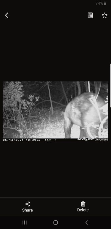 Screenshot_20210515-125252_SPYPOINT