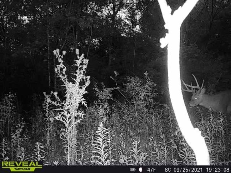 18b34368-032b-41b2-8b2c-e838fd930911