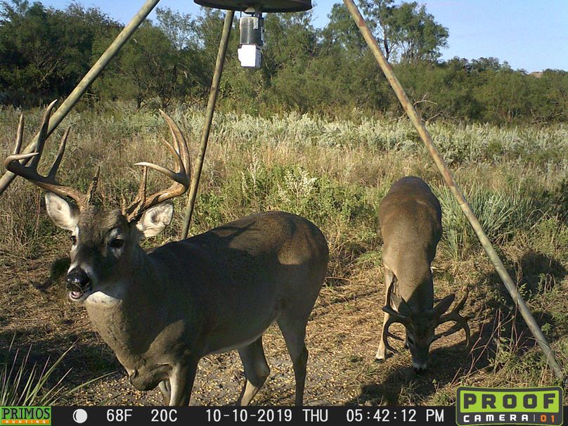 Elm Fork 2 Bucks Food Plot Feeder
