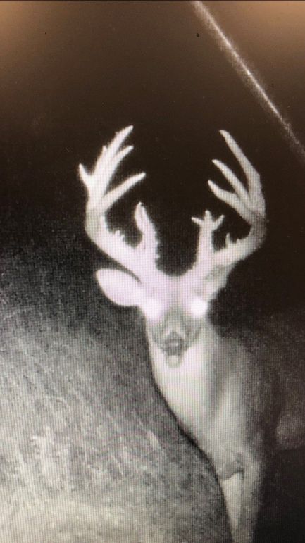 Elm Fork Buck 6 Big 8 Front 2021