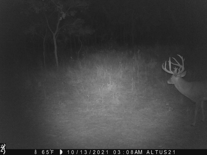 1Elm Fork Buck 6 Big 8 Side 2021