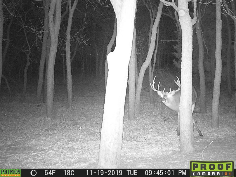 Elm Fork Buck 10 Sneak