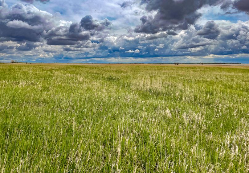 12. N looking E from N