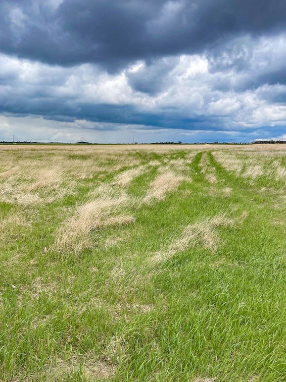 7. N looking N from W