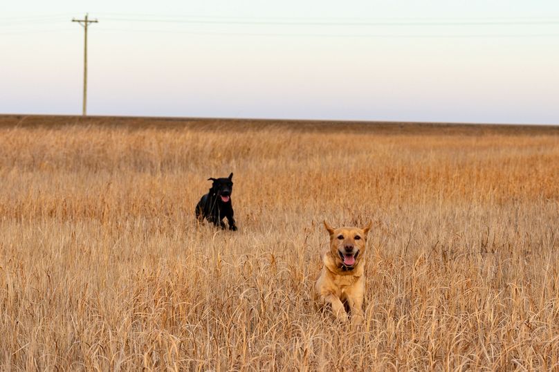 2. Working the field