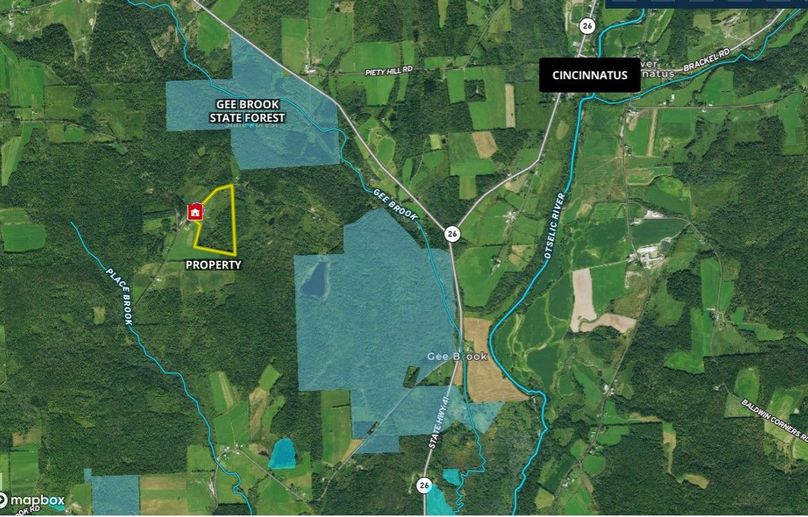 Z Cortland 43.497 Brown Wide Area