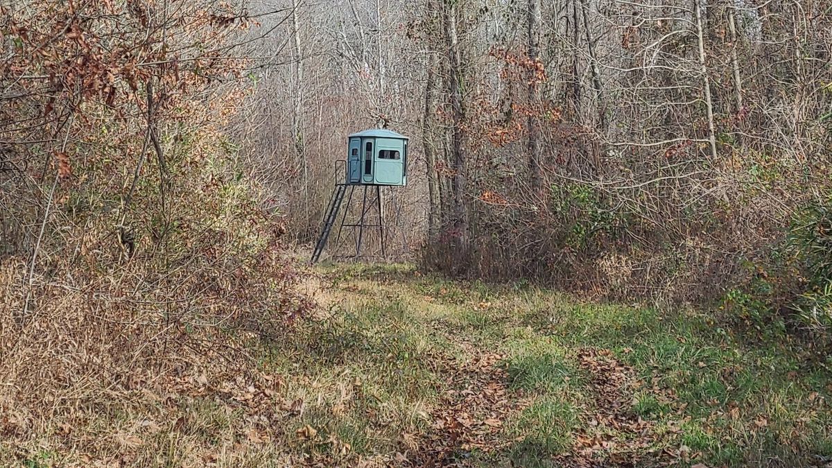 Great Hunting Located Near Natchez Trace State Park Whitetail Properties