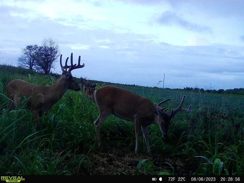 2551A0AA-798A-46DF-B1E8-22EC17A37E87