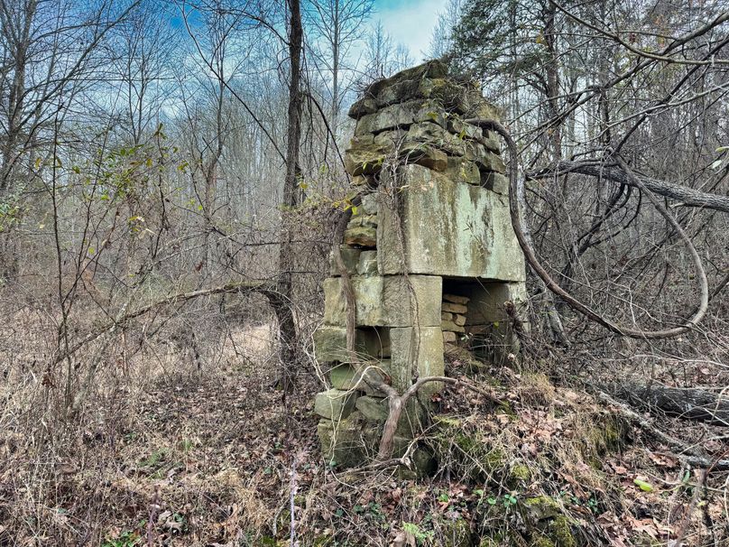 016 chimney still stands at the old homestead
