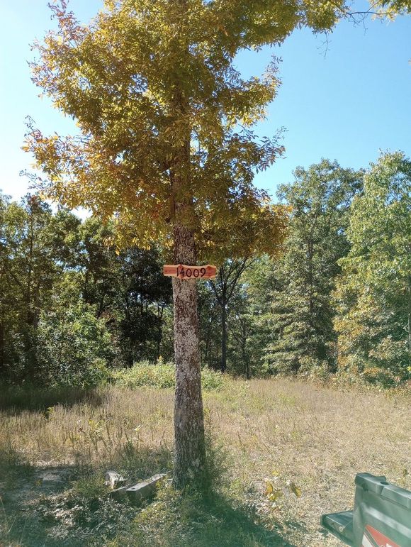 IMG_20221002_145233174