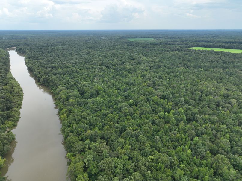 dji_fly_20230727_170644_404_1690507682934_photo 3