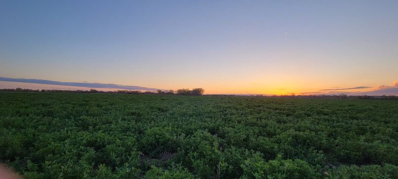 Copy of 20210505_194717