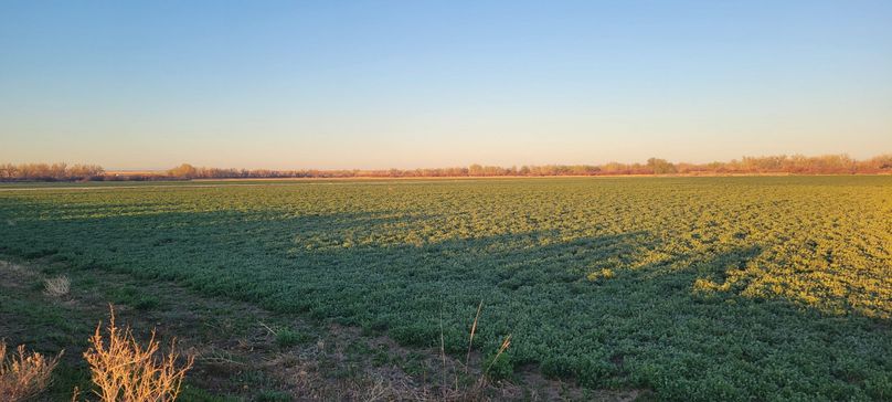 Copy of 20210506_061207