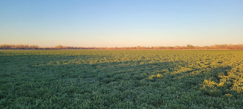 Copy of 20210506_061219