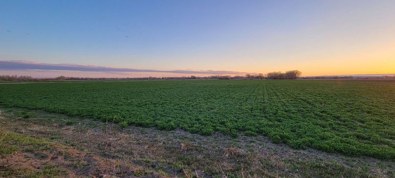 Copy of 20210505_194118