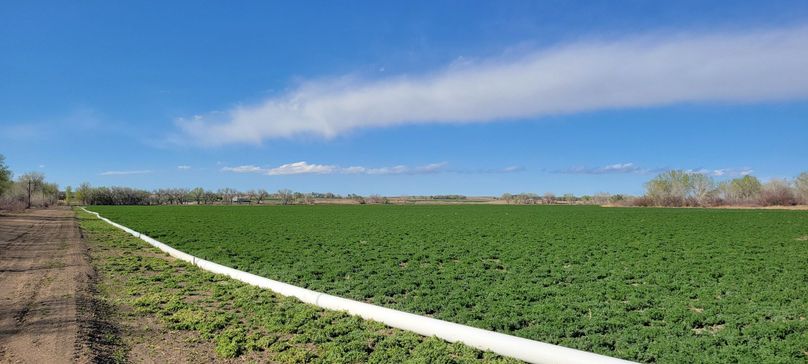 Copy of 20210505_164706