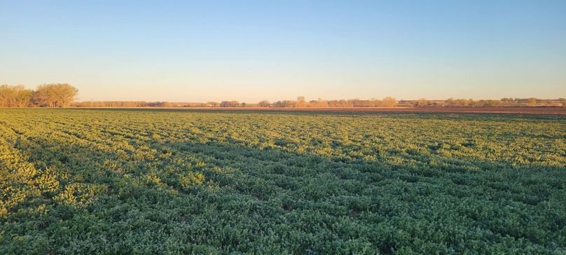 Copy of 20210506_061223