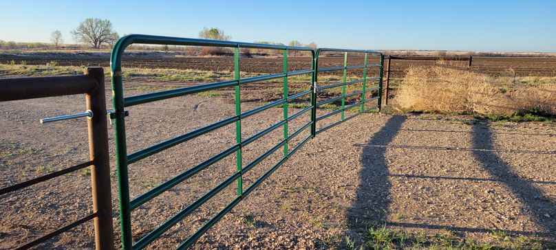 Copy of 20210506_063606