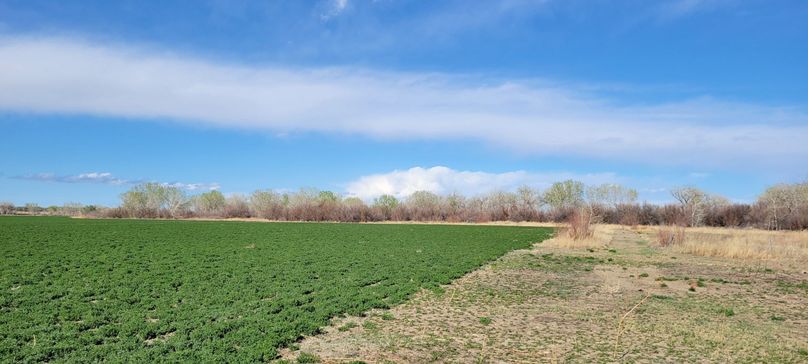 Copy of 20210505_164713