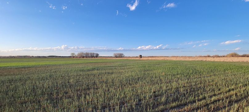 Copy of 20210505_191224