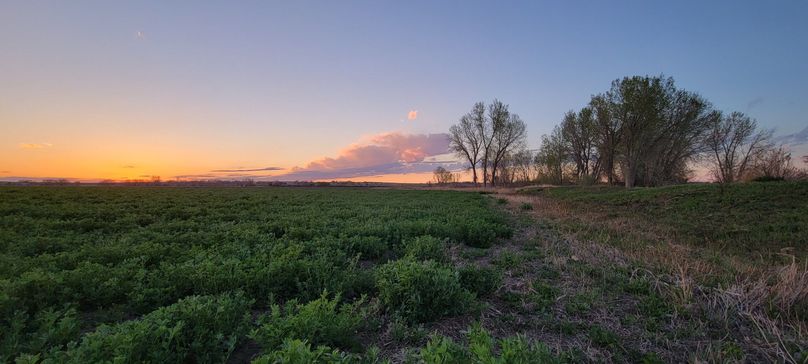 Copy of 20210505_194724