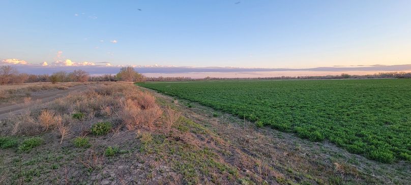 Copy of 20210505_194122