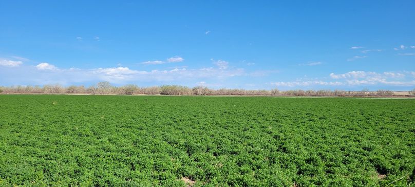 Copy of 20210505_165947