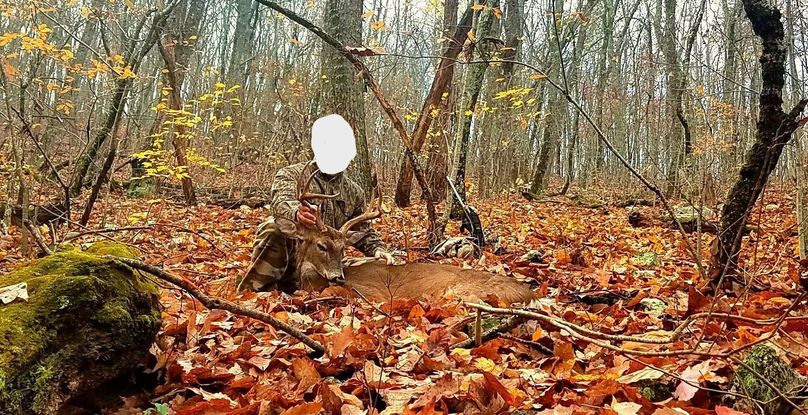 Resized952017120195133828