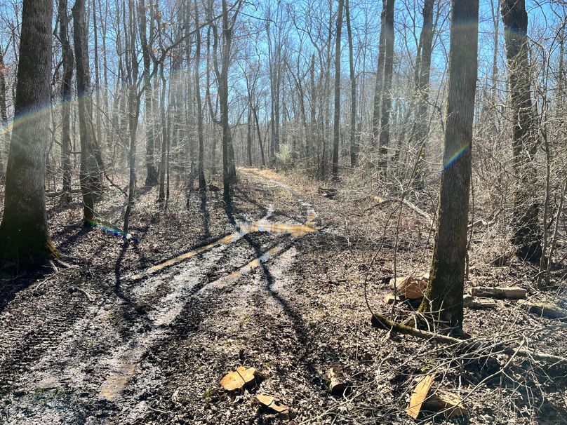 (16)Creek Bottom Road