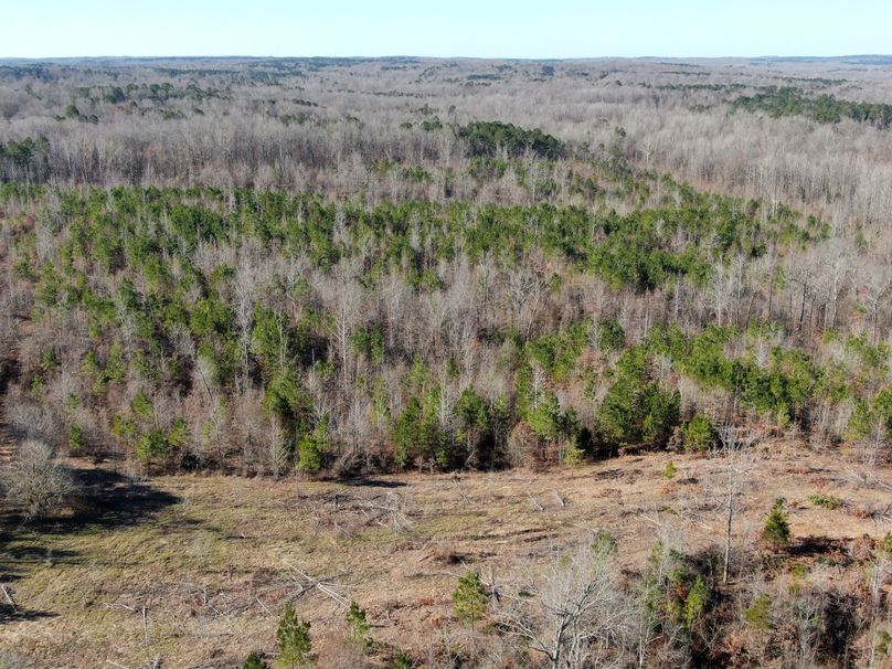 (18)Pine Ridge and Field