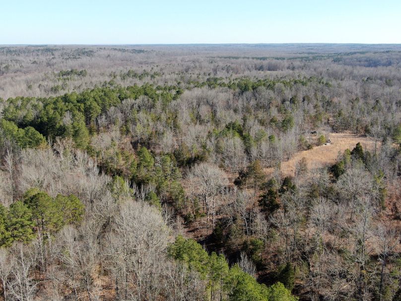 (12) Field Below Cabin