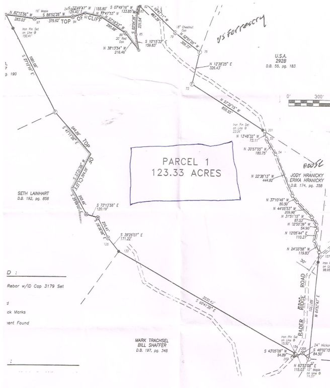 038 Lee 123 surveyed plat copy