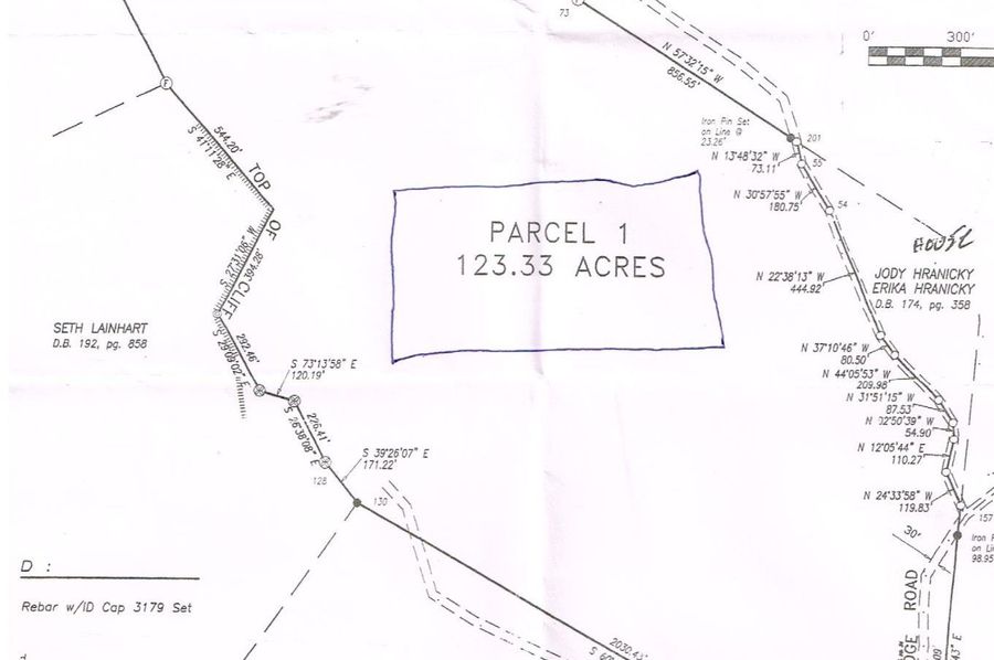 038 Lee 123 surveyed plat copy