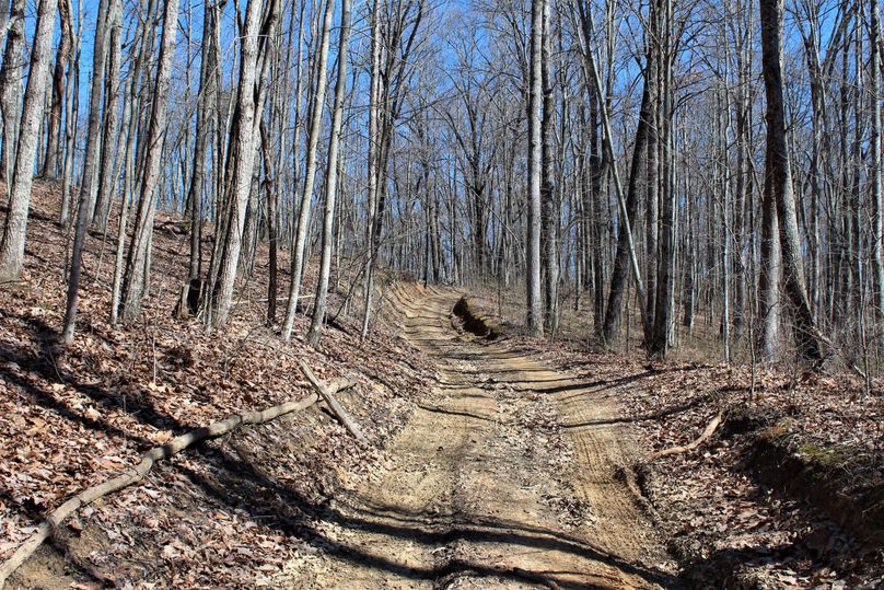 010 the dirt road leading into the property off of Spencer Ridge Road